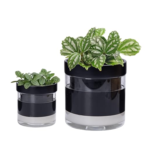 Phoenix Vine 6 Inch 4 Inch Self Watering Terracotta Planter, Black Terracotta Clay Pot with Glass Reservoir for Indoor Plants, Herbs, Flowers, 52-C-G-46 - color: Black, size: 4+6 Inch