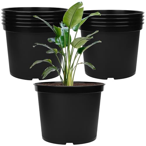 GREANER 5 Gallon Black Planter Pots, 10PCS Plastic Durable Plant Pots for Plants, Seed Starting Container for Flower Herb Vegetable Seedling Tree Fruit - size: 12 Inch