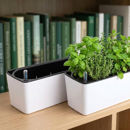 Fasmov 2 Pack Rectangle Self Watering Planter with Water Level Indicator, 16x 5.5 Inch Window Gardening Box, Decorative Planter Pot for All House Plants Flowers Herbs, Decorative Planter Pot