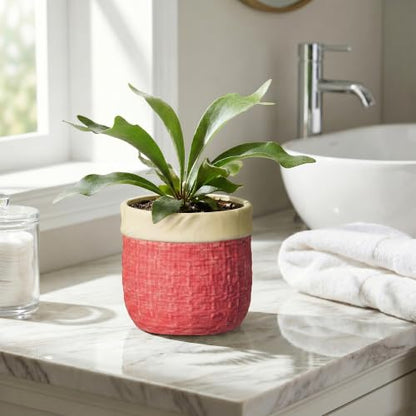 6 Inch Pots for Plants, Ceramic Planter, Round Flower Pots, Red - color: Red, size: 6 Inch