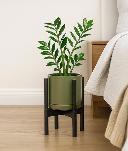 D'vine Dev Ceramic Pot with Ebony Wood Stand, Olive, 8 in, 55-B-M-J - color: Olive Pot + Ebony Stand, size: 8 Inch