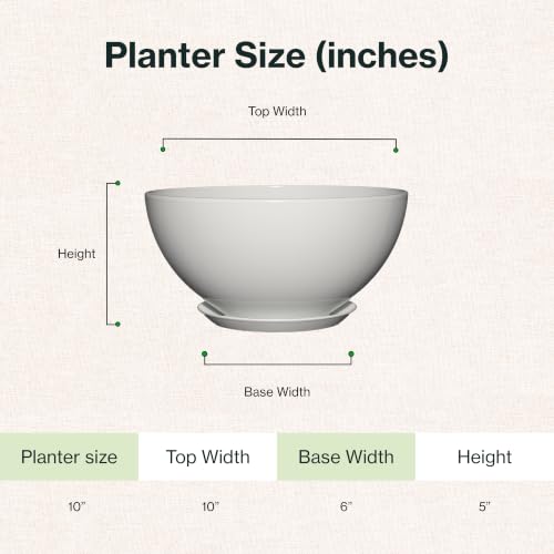 Rosie Planter Bowl, with Drainage and Saucer, 10” Stark White - color: Stark White