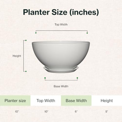 Rosie Planter Bowl, with Drainage and Saucer, 10” Stark White - color: Stark White