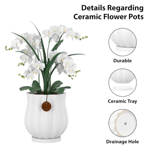 5.8" Matte White Ceramic Plant Pot with Saucer - color: Matte White, size: Medium