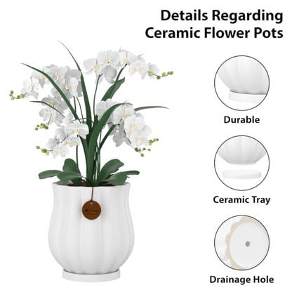 5.8" Matte White Ceramic Plant Pot with Saucer - color: Matte White, size: Medium