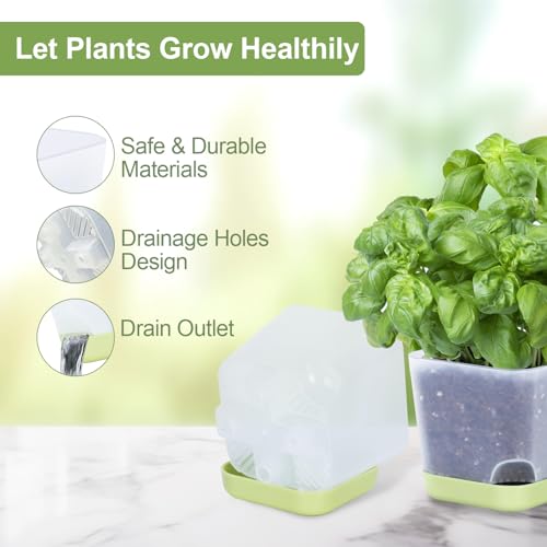 Oliz 20pk 3" Square Succulent Pots w/Drainage & Saucers - size: Mini Clear Pots 20 Pack
