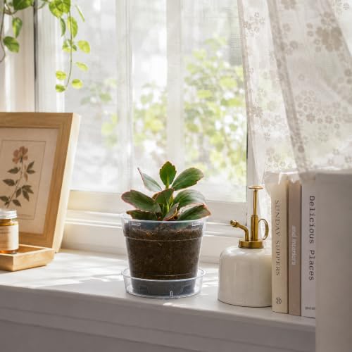 4 Inch Clear Plastic Plant Pot with Drainage Holes, Interlocking & Detachable Tray - Deep Saucer - Durable BPA-Free Plastic, Transparent Design, Raised Base for Airflow, Set of 6, 92-X-A-2 - size: 4" x 3.5"