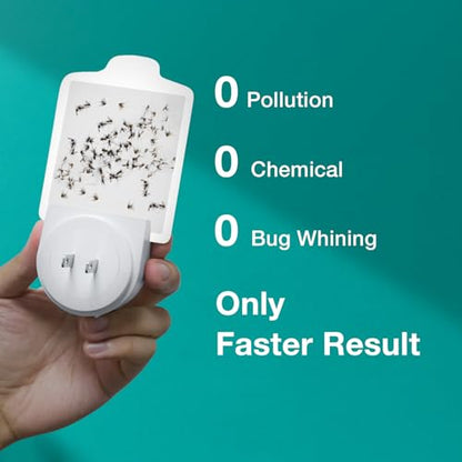 ZingZap Flying Insect Trap Indoor, Plug & Prey Dual-Baiting Fly Traps with Banana Scent & Blue Light, 2X More Effective Catch, House Flies, Gnats, Moths, Base Plug & 5 Cartridges - size: Banana