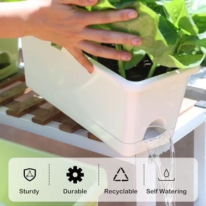 Oliz Window Box Planter 6 Packs, 13.8 Inches Rectangle Flower Pots with Drainage Holes & Trays, Pots for Vegetables, Herbs, Flowers, Garden Windowsill Balcony (White) - color: White