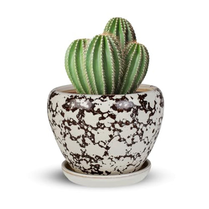 Ceramic Plant Pots With Saucer & Drainage, 6 inch Indoor Flower Pots - color: White, size: 6 inch