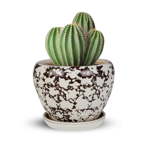 Ceramic Plant Pots With Saucer & Drainage, 6 inch Indoor Flower Pots - color: White, size: 6 inch