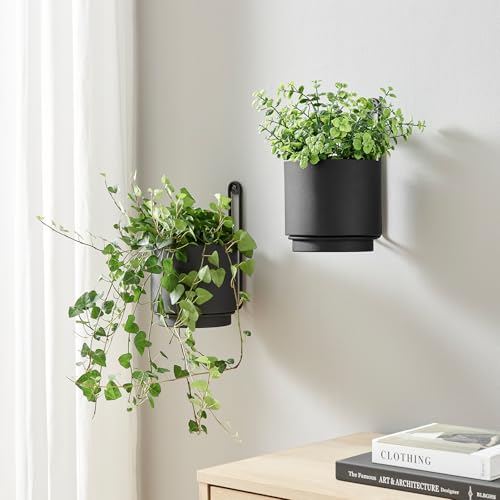 2 Pcs Wall Mounted Hanging Planter Vase for Indoor and Outdoor Plants Modern Metal Wall and Ceiling Planter Minimalist Flower Pot (Black, 5.91 inch) - color: Black