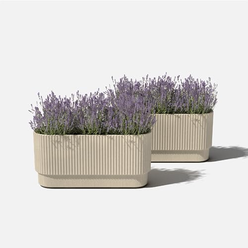 Veradek Demi Series Long Planter - Wide Outdoor Planter - color: Sand, size: 30 inch - 2 Pack