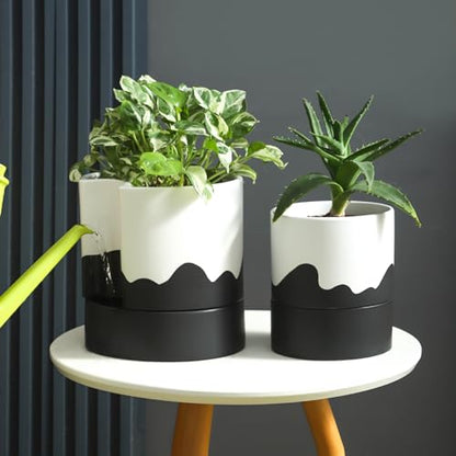 Nihow Self Watering Plant Pot, 8 Inch, White & Wave Black - color: White & Wave Black, size: 8" Self Watering