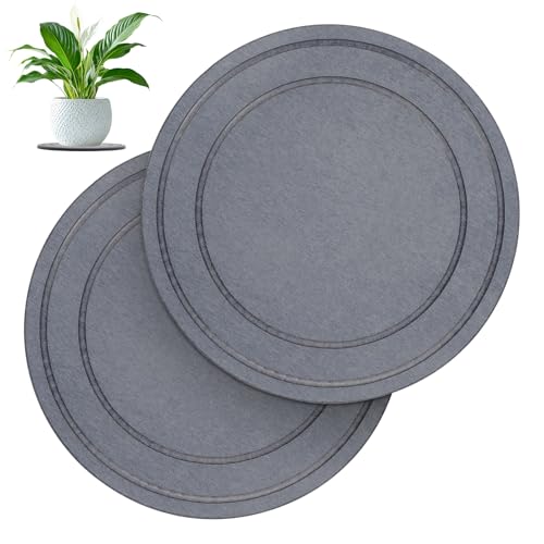 Diatomaceous Earth Plant Pot Saucers for Indoor & Outdoor, 2 Pack 10 inch, Round Plant Drip Trays, Plant Dish Pant Plate to Catch Water, Instant Drying Stone Drainage Tray - size: 10 inch