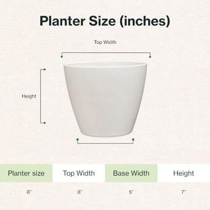 8" Vogue Planter in Stark White - color: Stark White