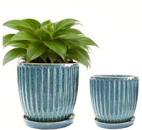 5+6 inch Ceramic Plant Pots Set of 2 with Drainage Hole, Flower Pots - size: 5 Inch + 6 Inch