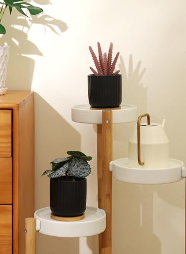 4 Inch Small Plant Pots Indoor, Ceramic Flower Pot with Drainage Hole and Tray, Modern Vertical Pattern Planter for Succulents, Snake Plant, Aloe, Herbs, Black, Set of 4 - color: Black(4inch)