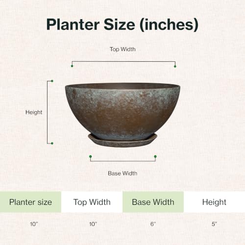 10" Rosie Bowl with Saucer in Weathered Copper - color: Weathered Copper