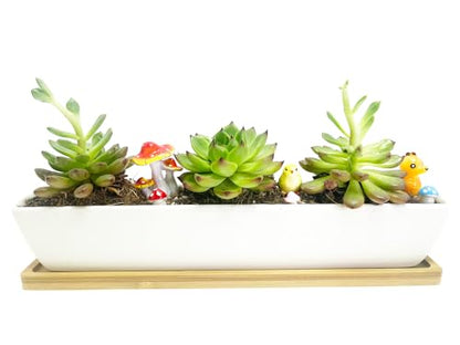 11inch Long Rectangle White Ceramic Succulent Planter Pots,with Bamboo Saucers. Product Size:11x2.23x1.69inch.