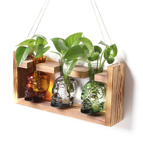 Plant Terrarium Propagation Stations Skull Planter Vase Skulls Decor - color: Color-04