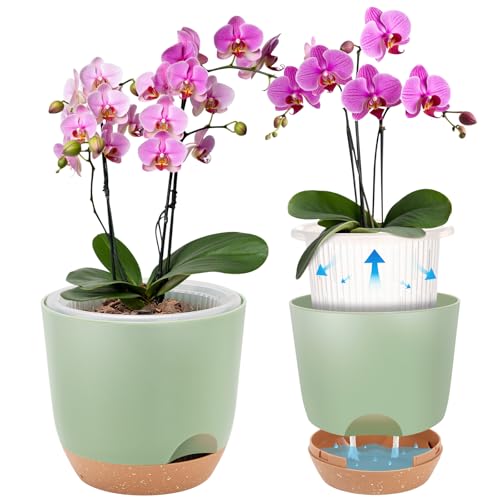 Self Watering Orchid Pots for Indoor Plants,5.8 Inch Macetas para Orqudeas,Flower Pots for Indoor Plants with Holes(Green) - color: Green, size: 1Pc 5.7IN