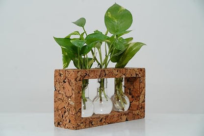 Natural Three-Beaker Cork Propagation Station