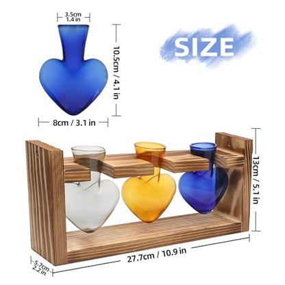 Plant Terrarium Propagation Stations Hydroponics - color: Color 3