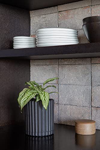 Veradek Demi Series Demi 6" Planter w/Tray - Black, 2 Pack - color: Black, size: 6 inch - 2 Pack