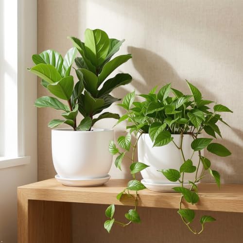 Ceramic Plant Pots, White, 6.7 Inch, 2 Pack - size: 6.7 Inch 2 Pcs
