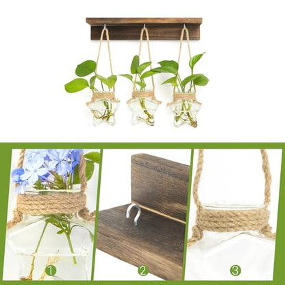 XXXFLOWER Wall Hanging Propagation Station with 3 Star-Shaped Glass Vase - size: 3 Star-Shaped Glass Vases