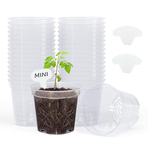 homenote 3 Inch Clear Nursery Pots with Drainage Holes and Labels (30 Pcs) - color: Transparency-no Lid, size: 3 Inch-30 Pack