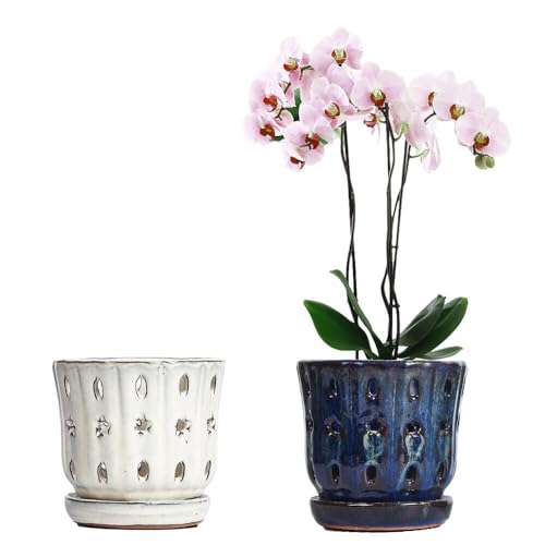 Orchid Pots with Holes Attached Saucers 5 Inches - 2 Pcs Small Ceramic Pots for Repotting, Decorative Ceramic Orchid Planter with Hole for Healthy Root Growth (White and Blue) - color: White and Blue