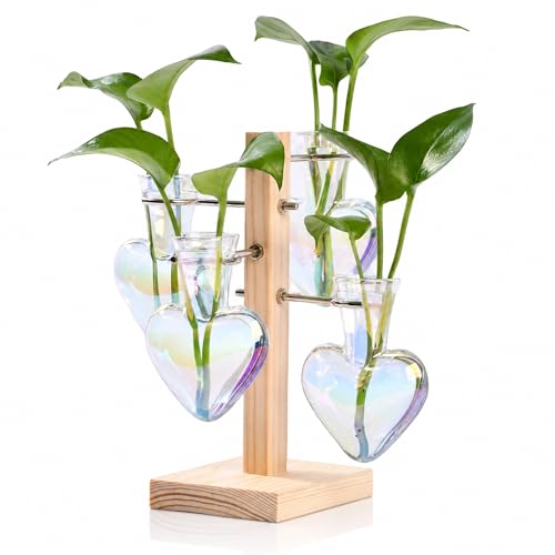 Nacome Plant Terrarium Propagation Stations: Clear Vase with Wooden Stand - color: White