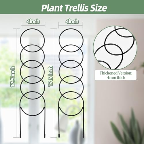 17.5 inch Small Trellis for Potted Plants, Metal Plant Trellis Indoor - color: Circular-Metal