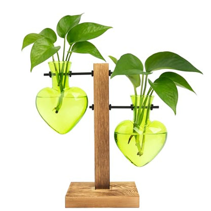 XXXFLOWER Plant Propagation Station Terrarium 2 Green Heart Shaped Vase - color: Green