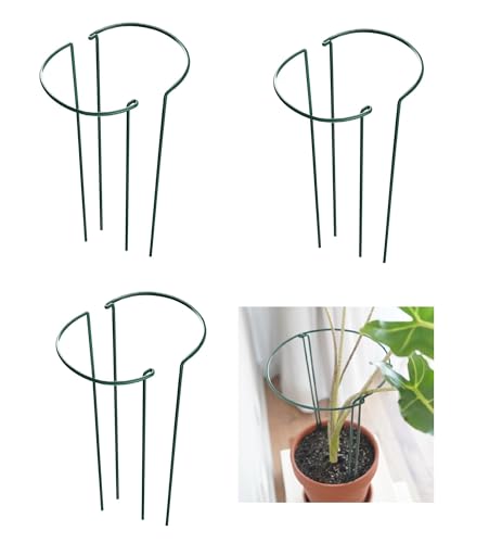6 Pack 24 Inch High Plant Stake,Garden Plant Support,Half-Round Peony Cage Plant Ring Hoop - size: 9.5x24Inch-6Pack