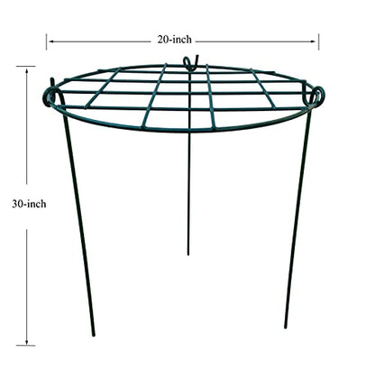 10 Pack 20 x 30 inch Poeny Cage Grow Through Grid Plant Brace Flower Support Rings,Round Metal Plant Stakes Rings, Strong Large Garden Supports for Flowers, Peonies, Rose, Lily - size: 20"x30" Pack of 10