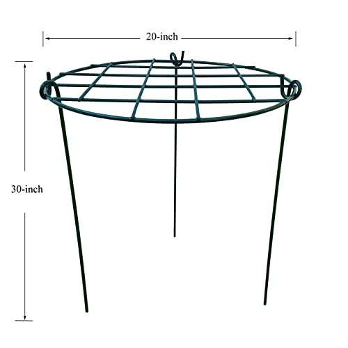 10 Pack 20 x 30 inch Poeny Cage Grow Through Grid Plant Brace Flower Support Rings,Round Metal Plant Stakes Rings, Strong Large Garden Supports for Flowers, Peonies, Rose, Lily - size: 20"x30" Pack of 10