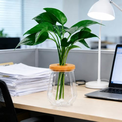 Desktop Plant Hydroponic Vases, Water Plant Jars, Gardening Gifts for Office and Home, Outdoor, Transparent Diamond Pattern - color: Transparent Diamond Pattern