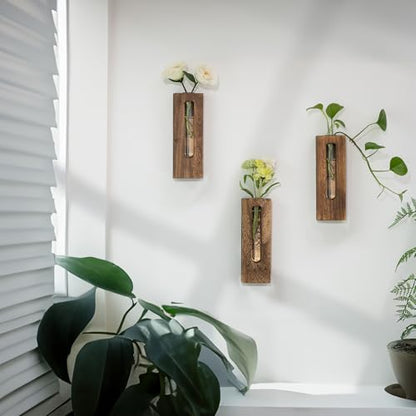 Farmhouse Wall Plant Propagation Station with Glass Tubes - color: Brown