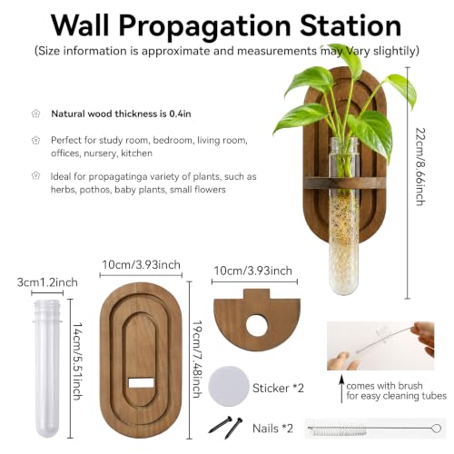 Artilady Plant Propagation Station Wall Hanging, Thick Wood Terrarium Tube - color: Oval B