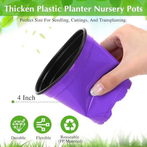 Havawish 150 Pcs 4 Inch Nursery Pots with Drainage Holes, Purple - color: Purple