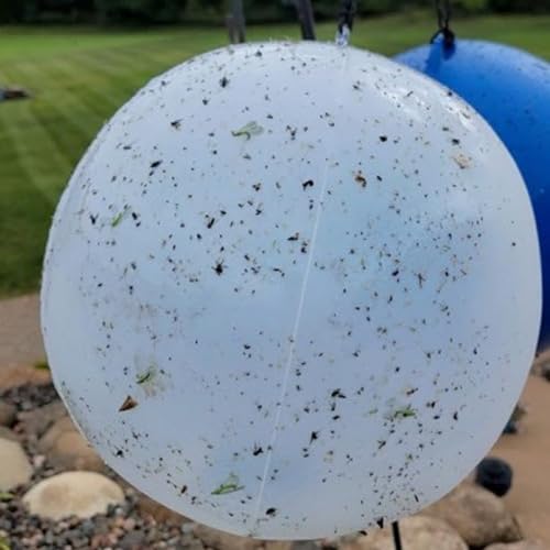 Bug Ball Mosquito Ball Starter Kit - Biting Fly and Insect Trap, Pack of 2