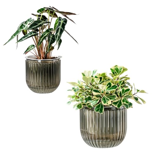 Melphoe Self Watering Pots for Indoor Plants Planter, 8.3/5.3 Inch 2 Pack Planters Self Watering Plant Pots for Flower, Houseplants, Succulent, African Violets and Cactus with Drainage - color: Light Grey, size: 8.3''+5.3''