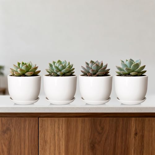 Ceramic Plant Pots, White, 5.5 Inch, 4 Pack - size: 5.5 Inch 4 Pcs