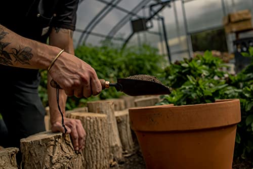 Barebones Garden Scoop - Garden Spoon - Stainless Steel Small Hand Shovel for Transplanting, Digging, and Planting - Great Home Gardening Hand Tools (Walnut/Black) - color: Walnut/Black, size: Garden Scoop