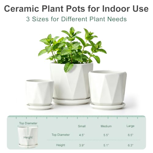 White Ceramic Planter Set of 3 with Drainage and Saucer, Indoor Plant Pots - color: Pure White