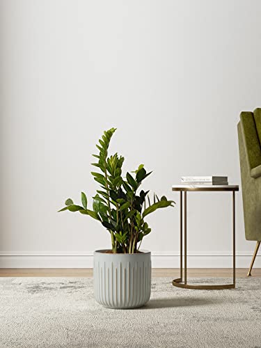 LE TAUCI Ceramic Pots for Plants, 8.3/7/6 Inch Indoor Planters with Drainage Holes & Mesh, Modern Glossy Glaze Cylinder Fluted Plant Pot for Snake Plant, Set of 3, Mist Gray - color: Mist Gray