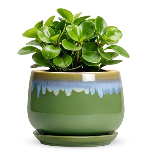 Ceramic Planter 6 Inch - Ceramic Pots for Plants with Drainage and Saucer, Decorative Small Succulent Pots for Indoor Plants, Round Plant Pot, House Decor, House Warming Gifts, Green-Blue - size: 6 Inch, style: Green-blue
